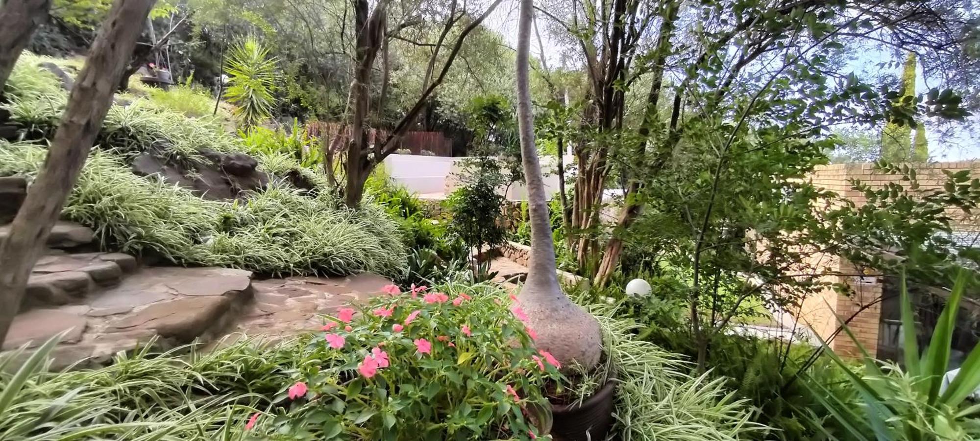 Mountain Gem Bed & Breakfast บลูมฟอนเทน ภายนอก รูปภาพ